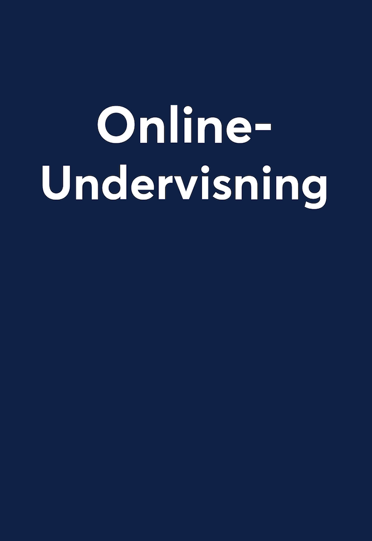 Onlineundervisning